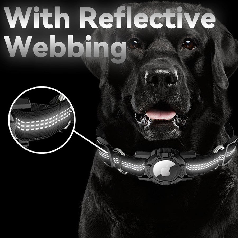 LPCOVER0030 Lippa Collar For Dogs, Size M 36 42 Cm, Black 6
