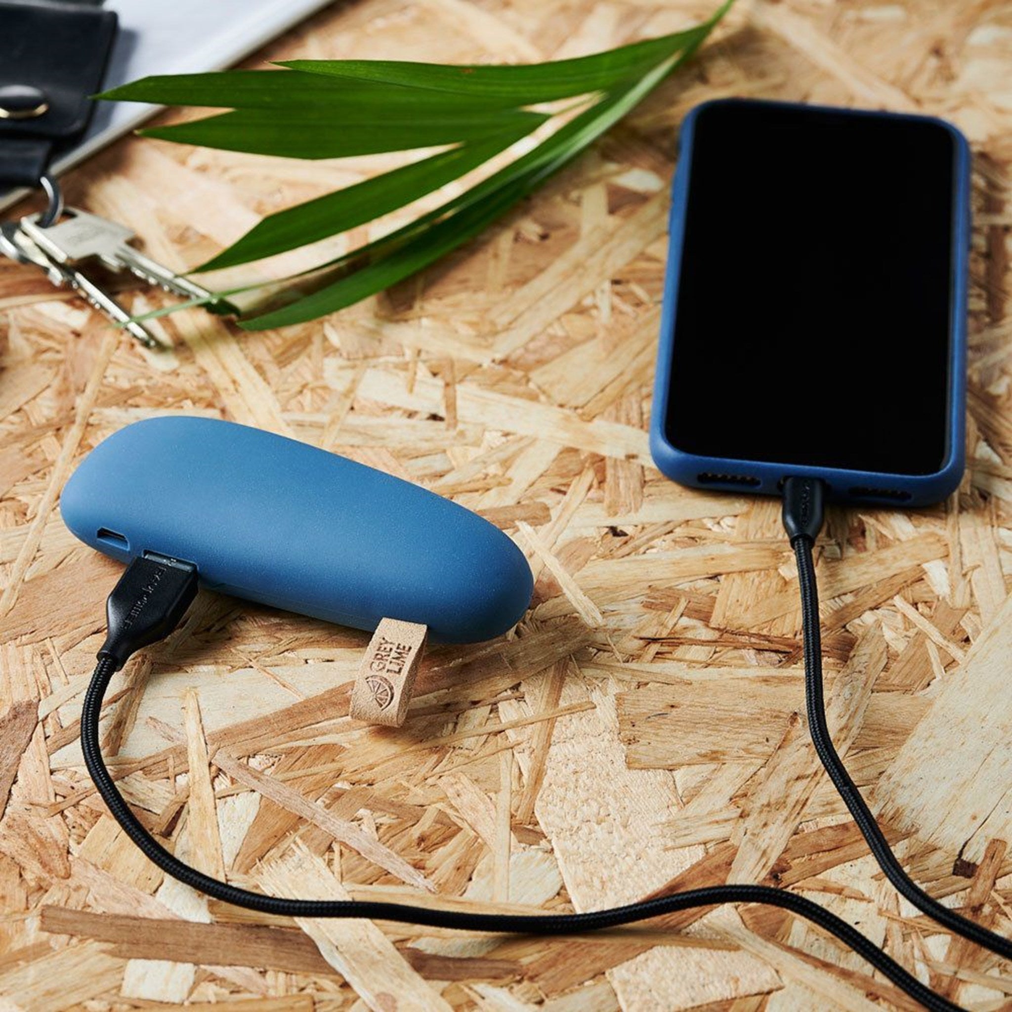 GreyLime-Power-Stone-2.600-mAh-powerbank-Blue-P101601-i-brug.jpg