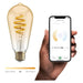 HBEB-0212-Hombli-Smart-Paere-ST64-E27-CCT-Filament-Amber_02.jpg