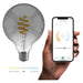 HBEB-0311-Hombli-Smart-Paere-G95-E27-CCT-Filament-Smokey_02.jpg