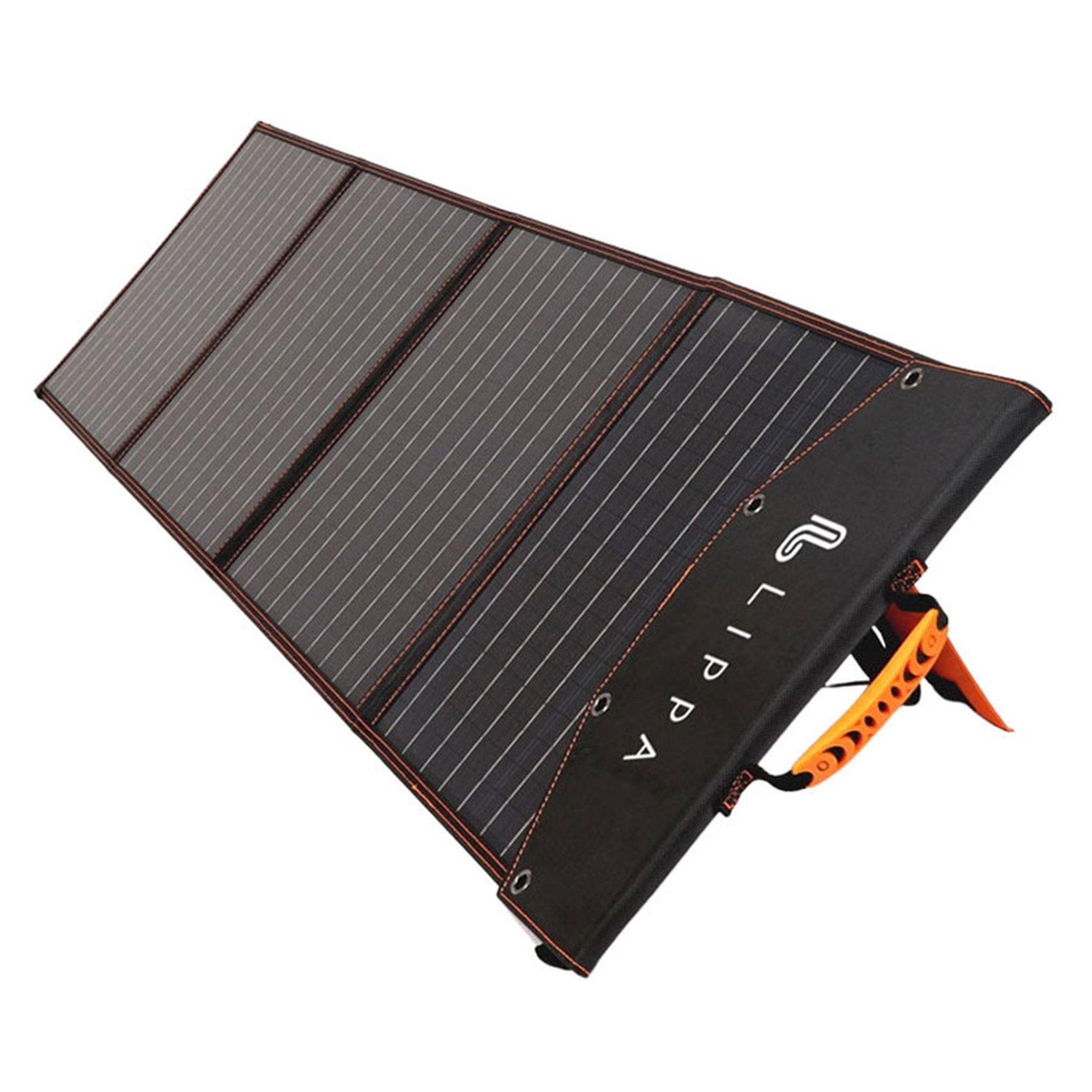 LPSP100 Lippa Solar Panel 100W Black 1